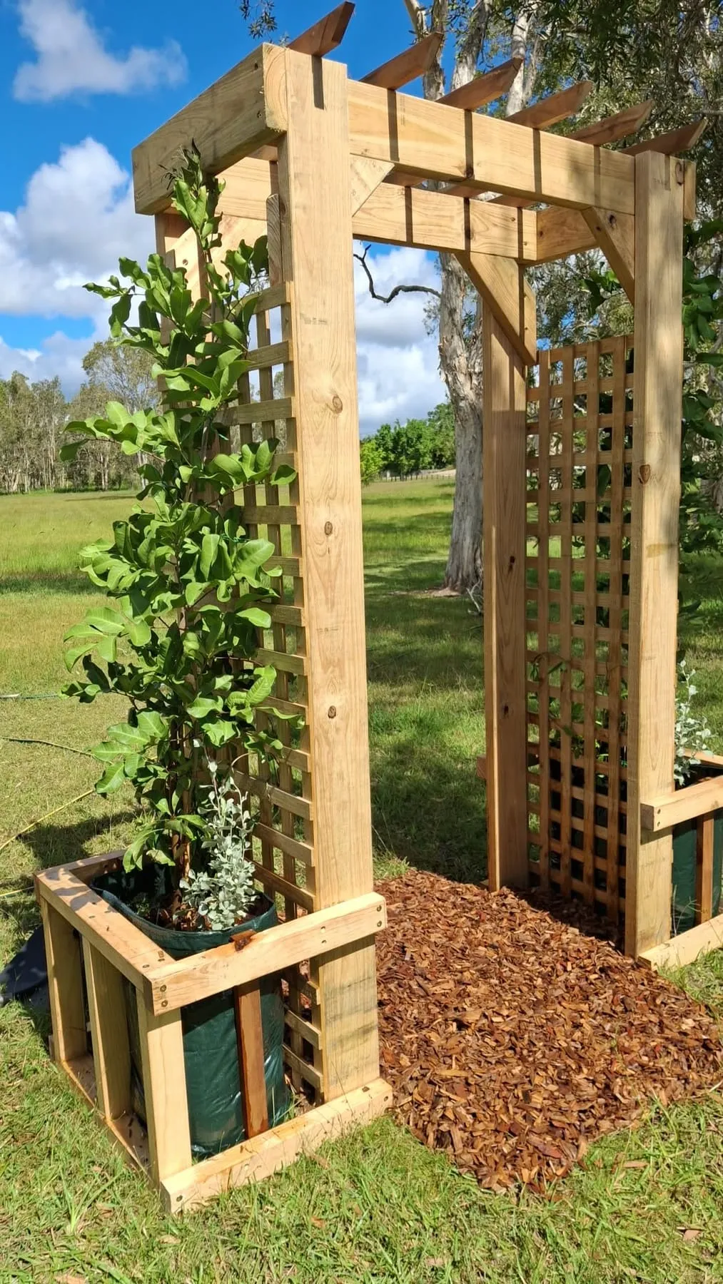 A timber garden arbour with lattice sides and built-in planter boxes