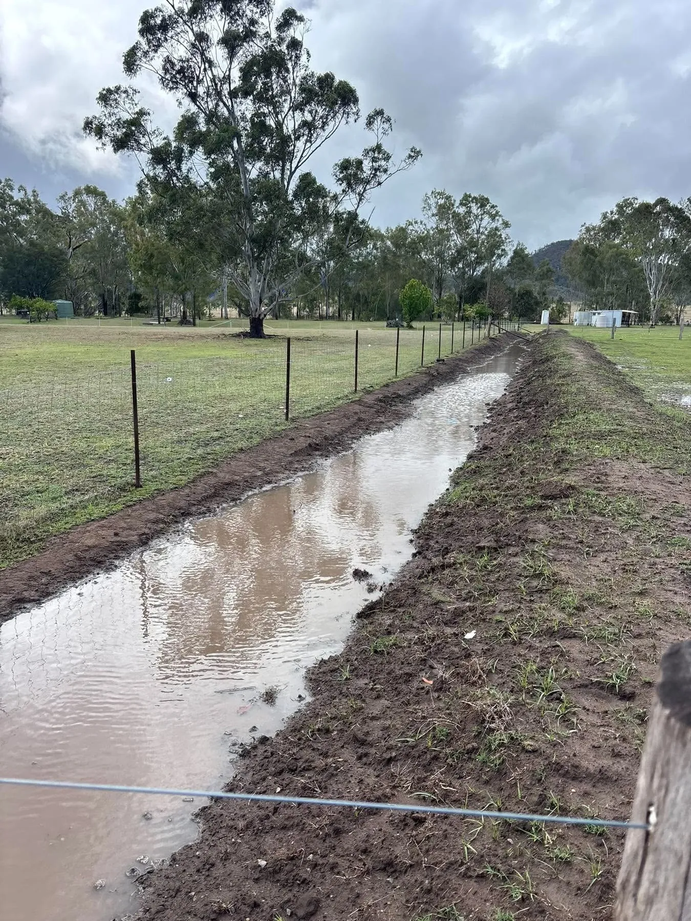 A new swale, holding water, Natural Sequence Farming