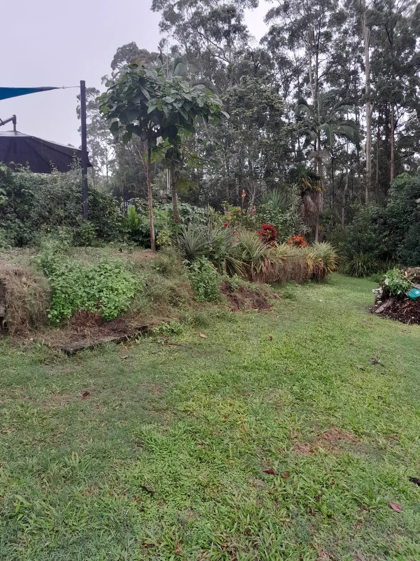 Timber retaining wall: before